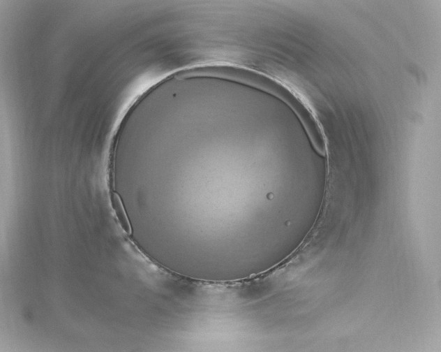 X0000115561104200911201817