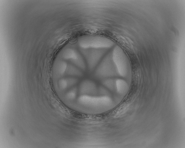 X0000115561105200911201816