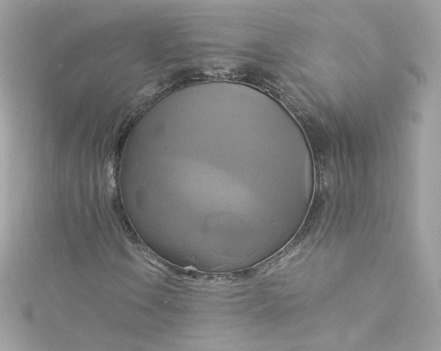 X0000115561106200911201816