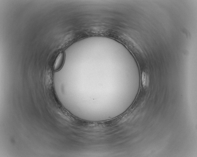 X0000115561107200911201816