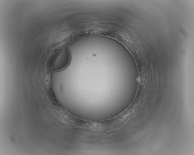 X0000115561109200911201816