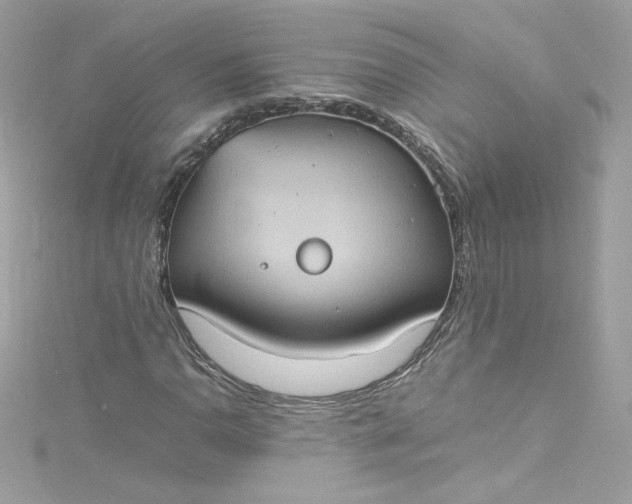 X0000115561110200911201816