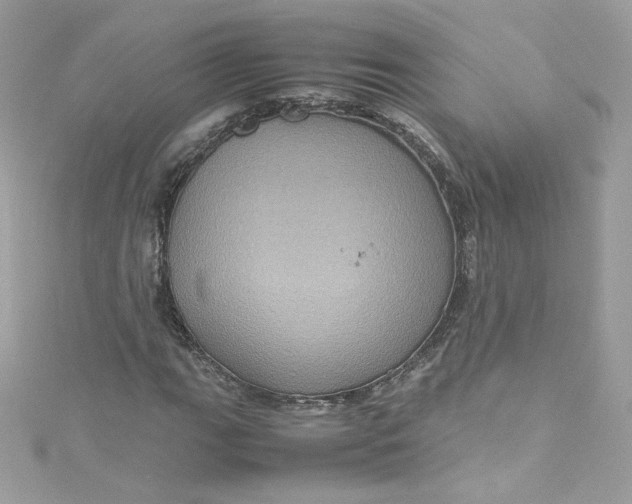 X0000115561111200911201816