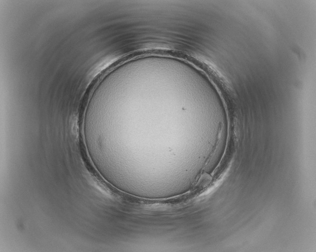 X0000115561113200911201817