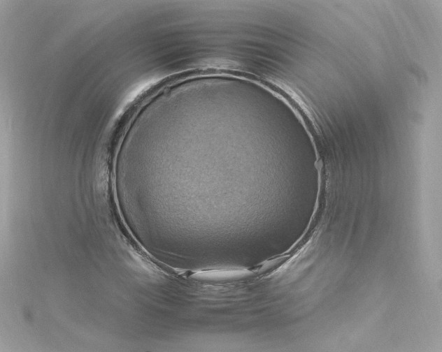 X0000115561115200911201817