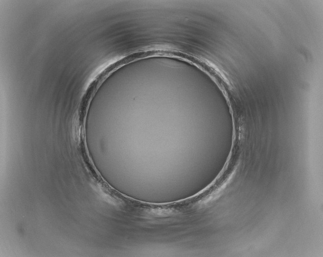 X0000115561117200911201817