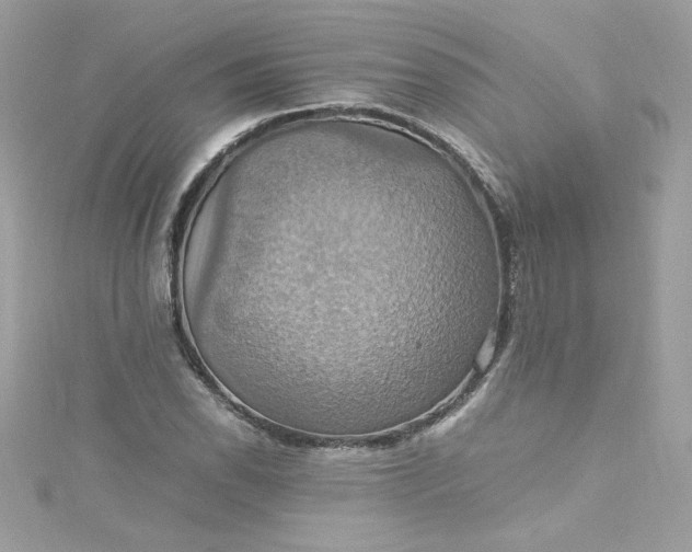 X0000115561118200911201817