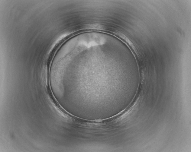 X0000115561123200911201817