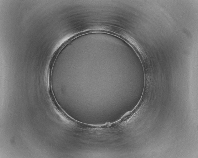 X0000115561127200911201817