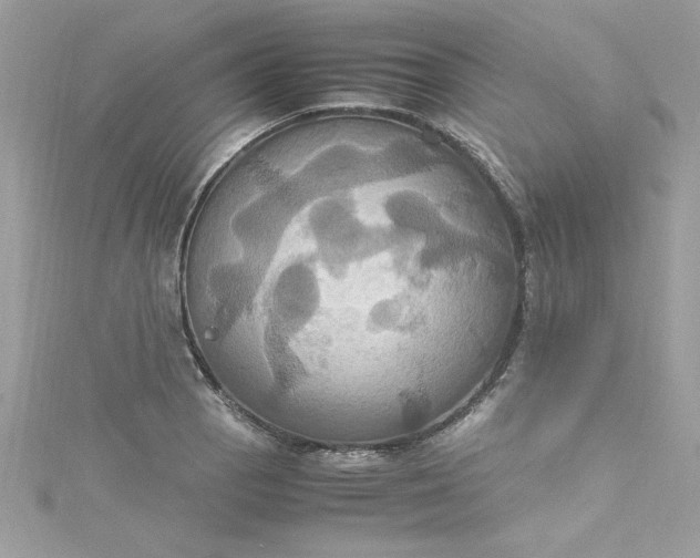 X0000115561129200911201817