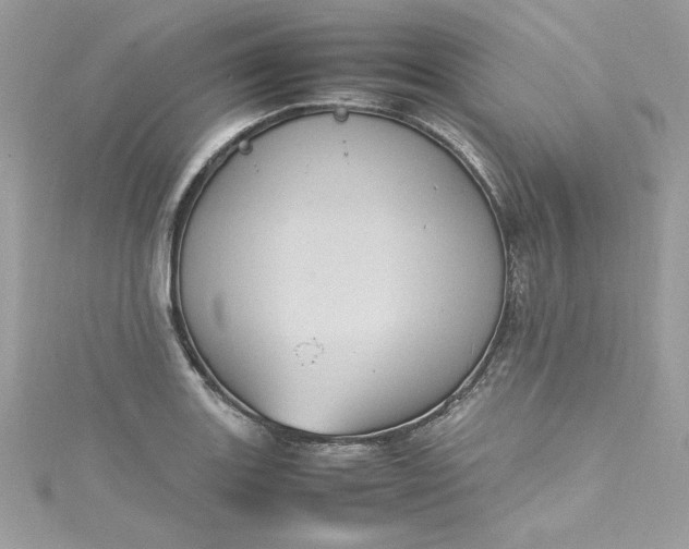 X0000115561131200911201817