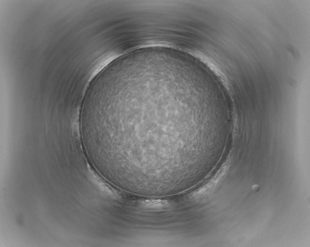 X0000115561137200911201817