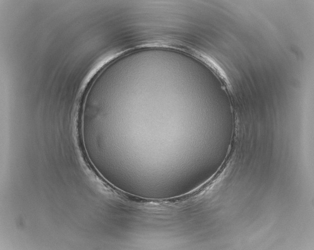 X0000115561138200911201817