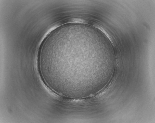 X0000115561139200911201817