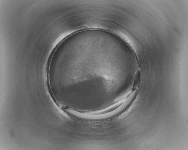 X0000115561141200911201817