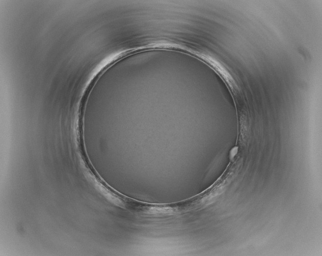 X0000115561142200911201817