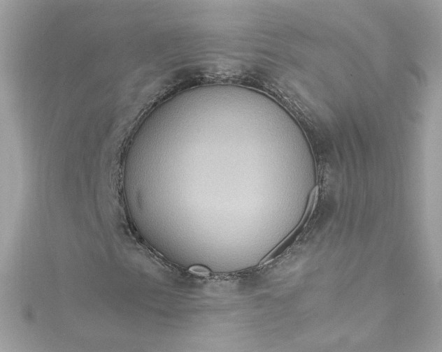 X0000115561153200911201816