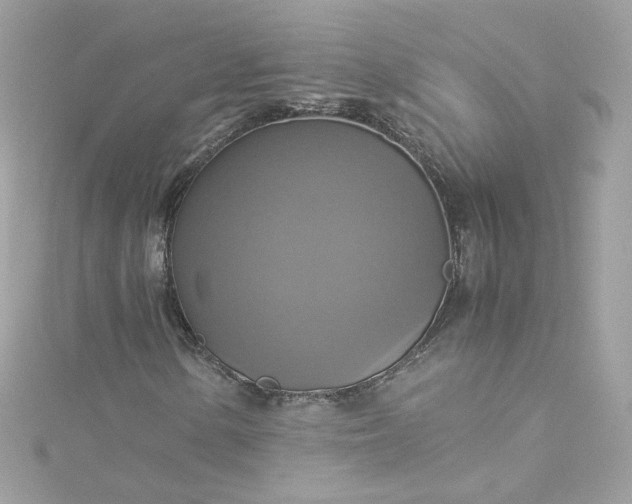 X0000115561154200911201816