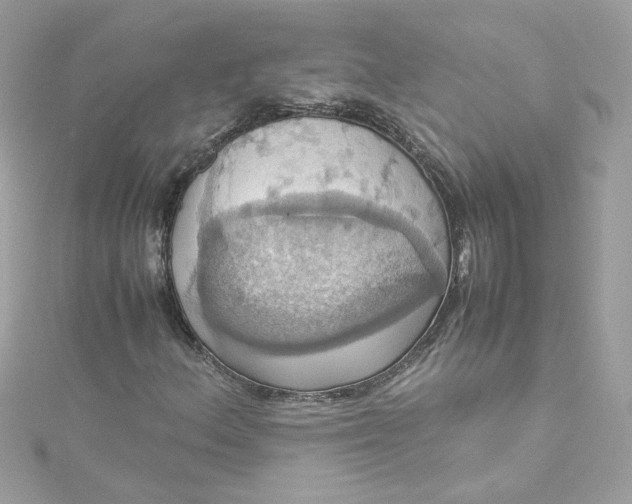 X0000115561156200911201816