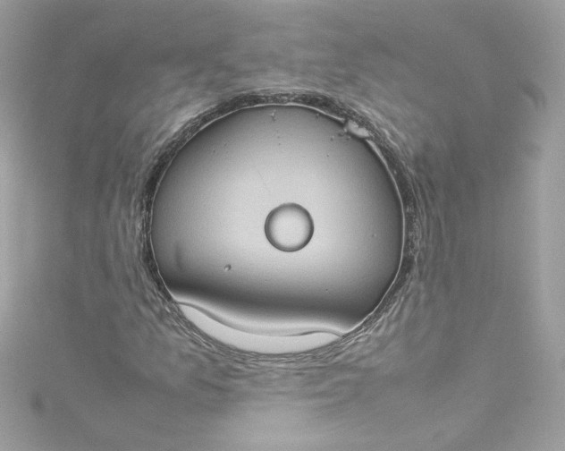 X0000115561157200911201816