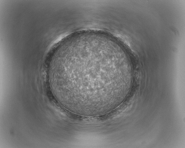 X0000115561159200911201816