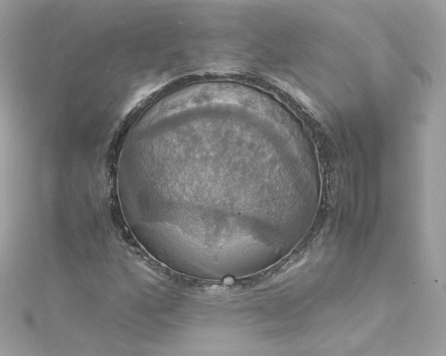 X0000115561160200911201816