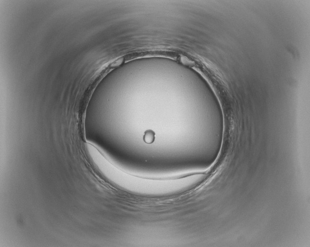 X0000115561161200911201816