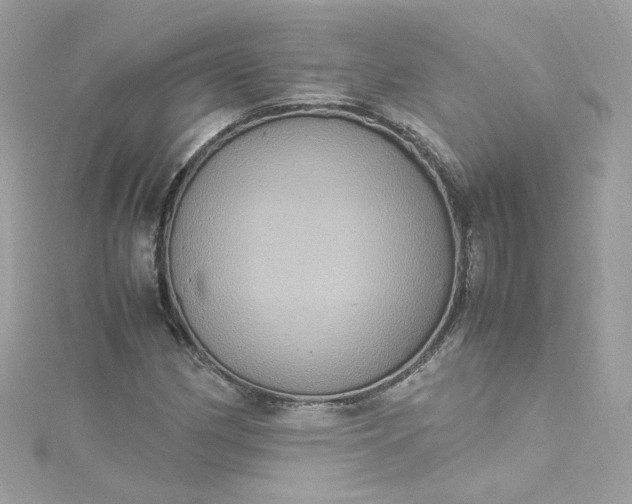 X0000115561162200911201816