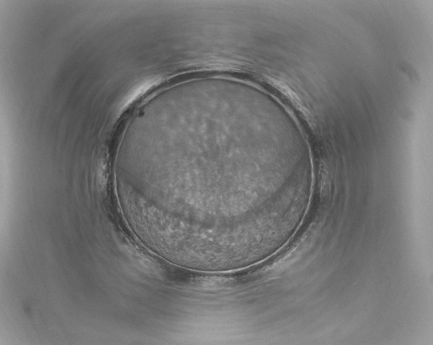 X0000115561163200911201816