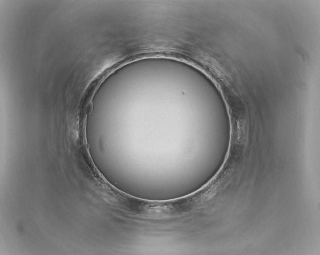 X0000115561165200911201816