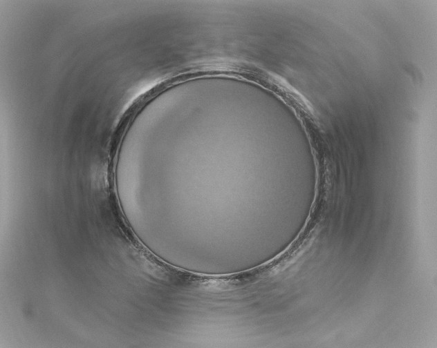 X0000115561166200911201816