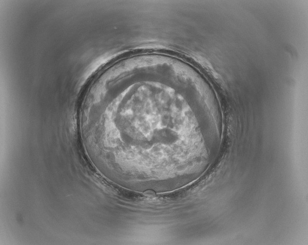 X0000115561167200911201816