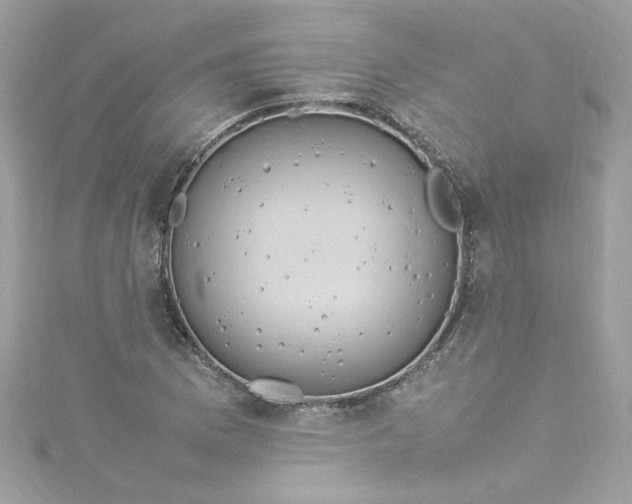 X0000115561169200911201816