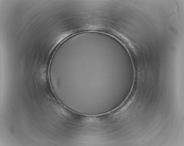 X0000115561170200911201816