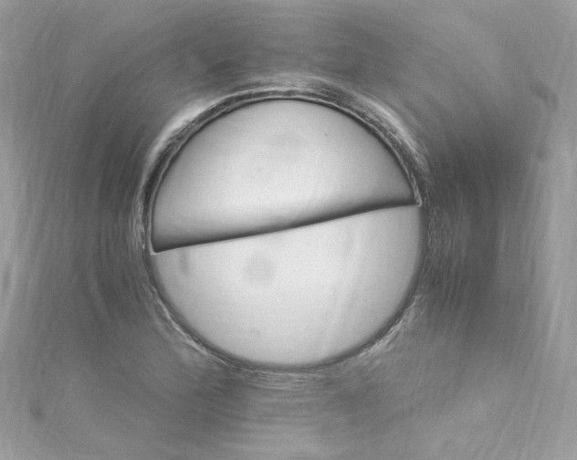 X0000115561172200911201816