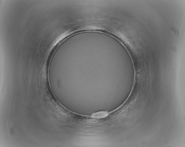 X0000115561173200911201816