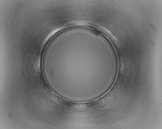 X0000115561174200911201816