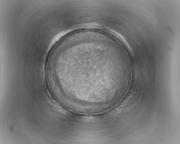 X0000115561176200911201816