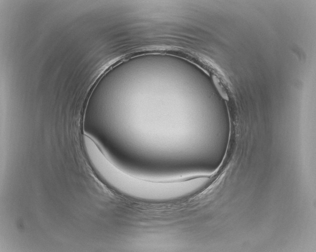 X0000115561177200911201816