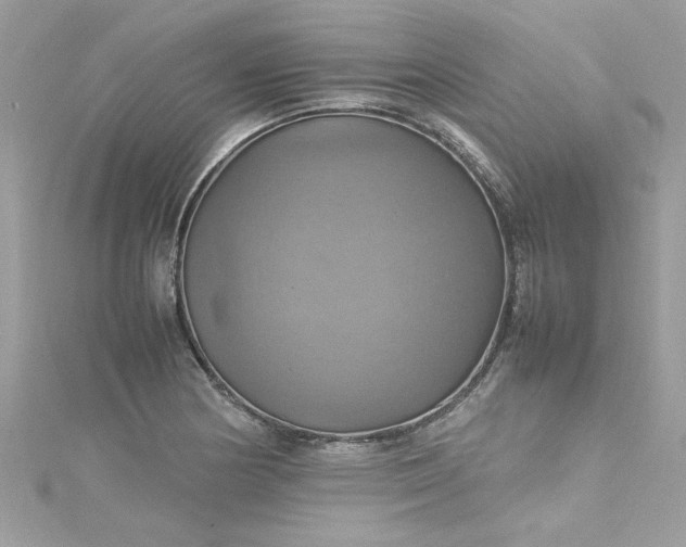 X0000115561178200911201816