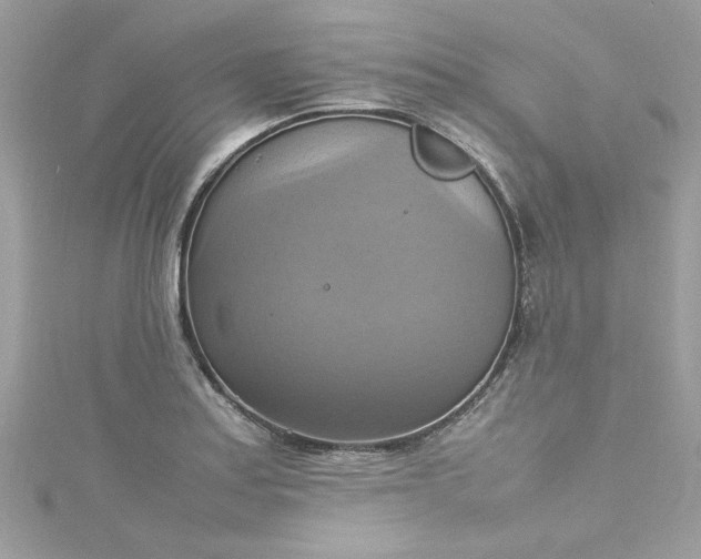 X0000115561179200911201816