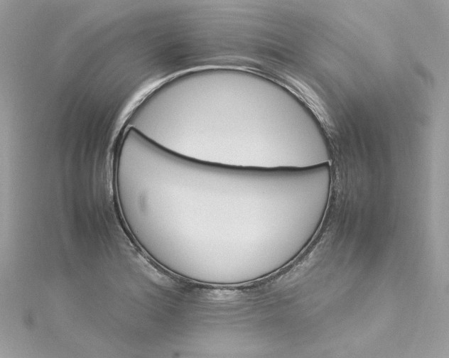 X0000115561180200911201816