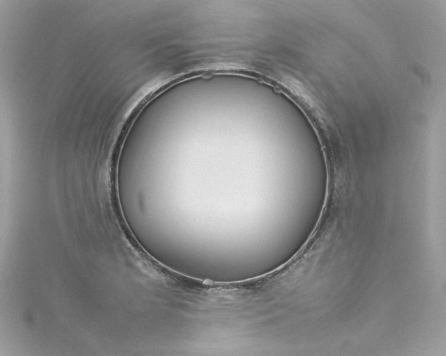 X0000115561181200911201816