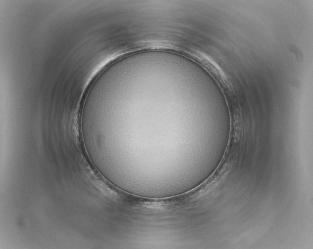 X0000115561182200911201816