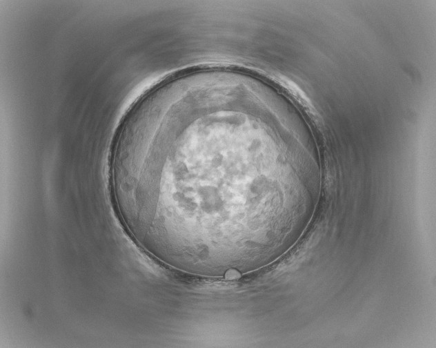 X0000115561183200911201816