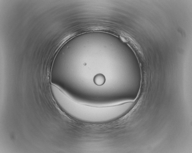 X0000115561185200911201816