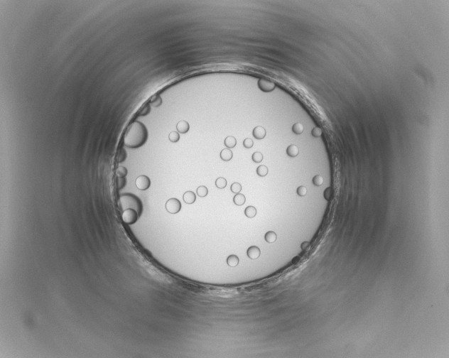 X0000115561186200911201816