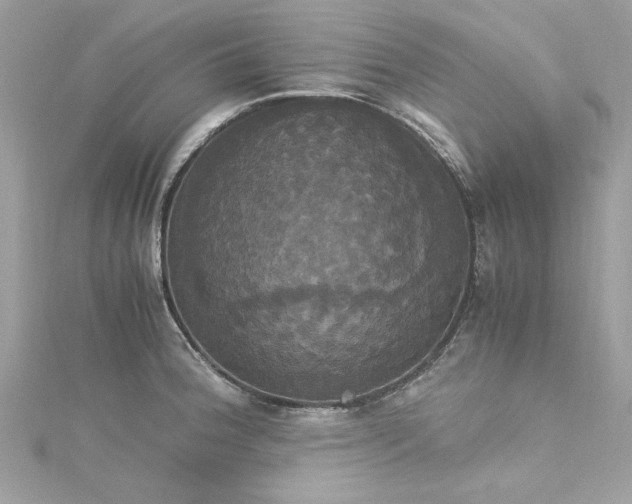 X0000115561188200911201816