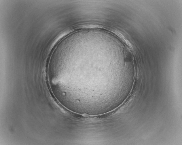 X0000115561189200911201816