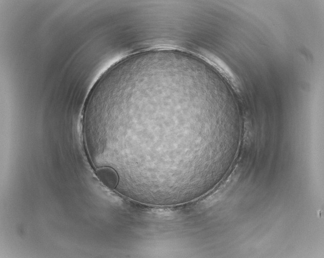 X0000115561190200911201816